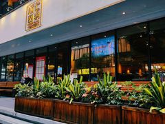 -同仁四季椰子鸡(福田东园总店)