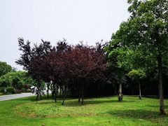 -艾溪湖湿地公园