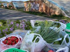 -昌平兴寿秀秀草莓采摘园