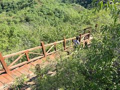 -大岭沟猕猴桃谷风景区