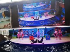 -成都浩海立方海洋公园