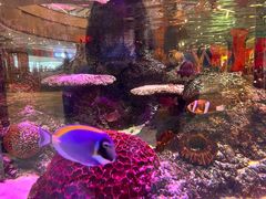 -沈阳海洋探索中心