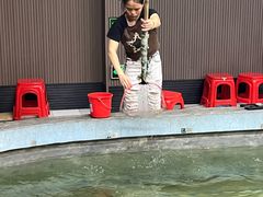 -光头佬室内钓虾场·烧烤·团建·亲子(中山八路店)