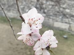 -西堤牛排(北京国瑞店)
