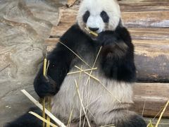 -海南热带野生动植物园
