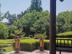 -月湖公园