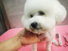 -宠福鑫康馨动物医院·骨科·眼科