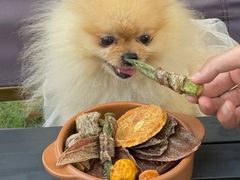 -J Create城市露营咖啡·简餐·宠物(上海动物园店)