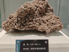 -金钉子远古世界景区
