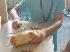-米果果小镇