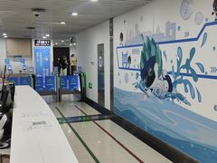 -北京科技大学-游泳馆