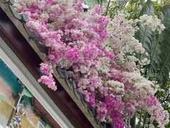 -深圳国际园林花卉博览园