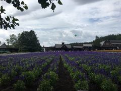 -富田农场