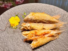 -潮隐·东园现代潮菜