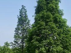 -尚贤河湿地