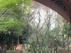 -东明山森林公园