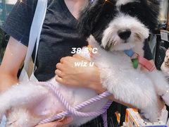 -PETKIT小佩宠物(古北店)