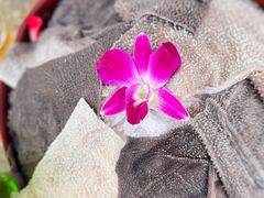 -茅草房·河畔园林火锅
