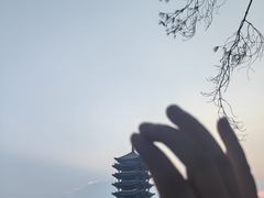 -缙云山景区