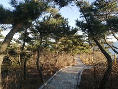 -燕窝岭