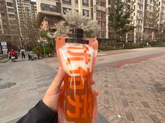 -优布劳精酿酒馆(富力又一城店)