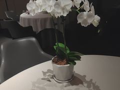 -蘇锦宴·淮扬菜烤鸭·小院(三元桥霄云路店)