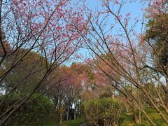 -福道