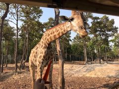 -清迈夜间动物园