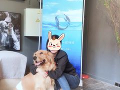 -百好乐宠物友好餐厅(朝外大街店)