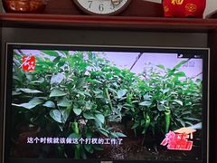 -河北医科大学第四医院(本部)