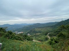 -天鹿湖森林公园