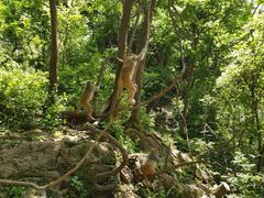 -黔灵山公园