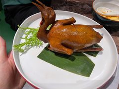 豉油皇乳鸽-蕉棠·鸽子餐厅(柳州万象城店)