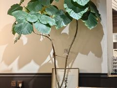 -沏点Trattoria意大利餐厅(新街口店)