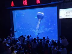 -太平洋海底世界