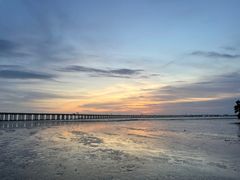 -宝安西湾红树林湿地公园