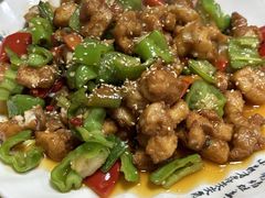 -煲来饱去冷水鱼