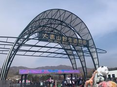 -大青山野生动物园