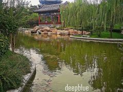 -迎泽公园