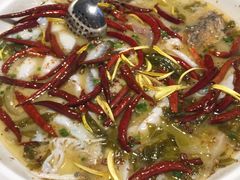 金牌老坛酸菜鱼-首秀·四川料理(星耀101店)