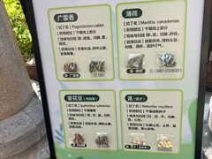 -广州神农草堂中医药博物馆
