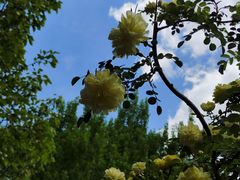 -长春公园(普阳街道)