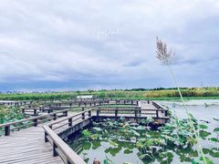 -宁波杭州湾国家湿地公园