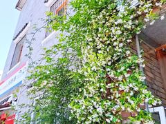 -边渡咖啡烘焙店(昙华林店)