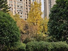 -龙头寺公园