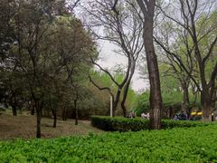 -元大都城垣遗址公园