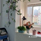 [吐]终于决定纹眉啦 看过来