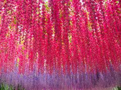 -芜湖方特东方神画
