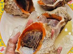 -清真老马家海鲜大排档(台东店)