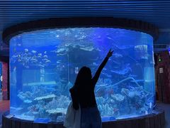 -左海海底世界